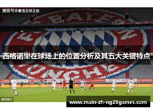 西格诺里在球场上的位置分析及其五大关键特点 西格诺里在球场上的位置分析及其五大关键特点