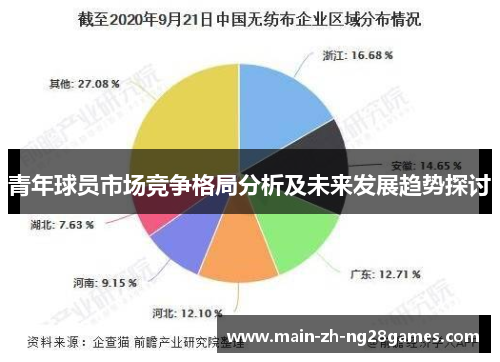 青年球员市场竞争格局分析及未来发展趋势探讨