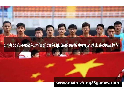 足协公布44家入选俱乐部名单 深度解析中国足球未来发展趋势