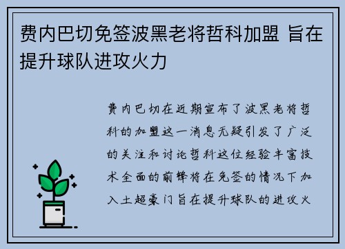 费内巴切免签波黑老将哲科加盟 旨在提升球队进攻火力 费内巴切免签波黑老将哲科加盟 旨在提升球队进攻火力